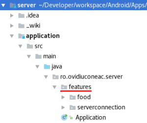 Web server application features